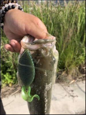 hideup 松本泰明 ブログ写真 2018/05/19