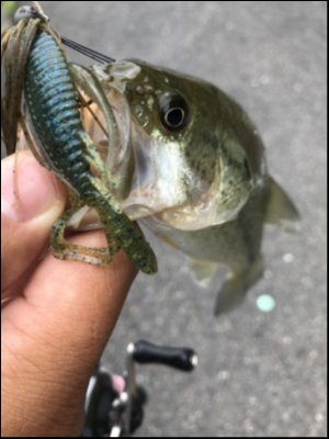 hideup 松本泰明 ブログ写真 2018/05/19