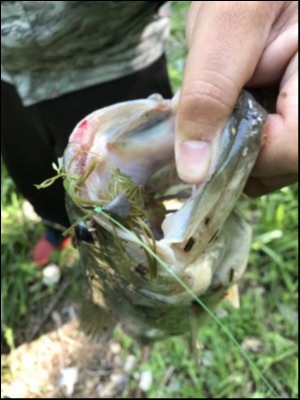 hideup 松本泰明 ブログ写真 2018/05/19