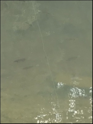 hideup 松本泰明 ブログ写真 2018/05/19