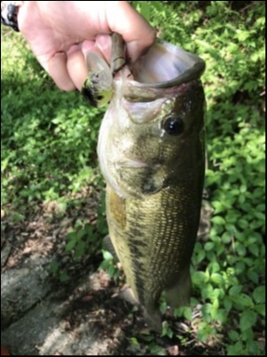hideup 松本泰明 ブログ写真 2018/05/19