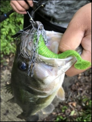 hideup 松本泰明 ブログ写真 2018/05/19