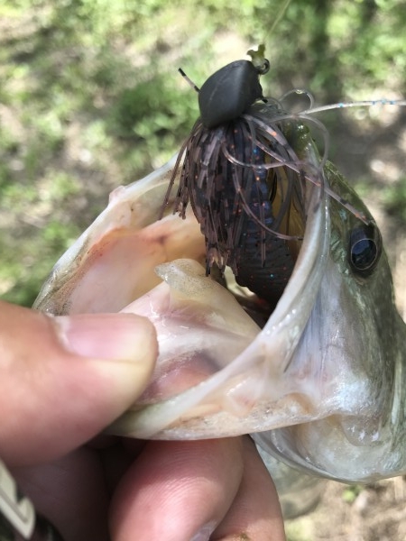 hideup 松本泰明 ブログ写真 2018/05/25