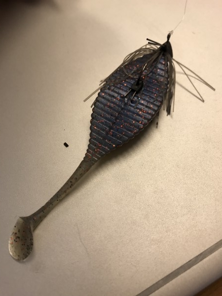 hideup 松本泰明 ブログ写真 2018/05/25