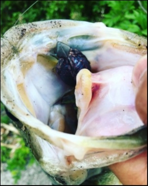 hideup 松本泰明 ブログ写真 2018/05/25