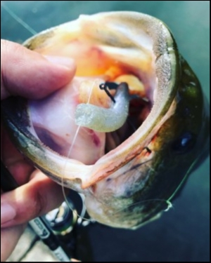 hideup 松本泰明 ブログ写真 2018/06/09