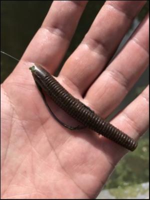 hideup 松本泰明 ブログ写真 2018/06/09