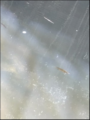 hideup 松本泰明 ブログ写真 2018/06/09