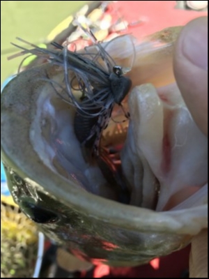 hideup &aelig;&frac34;&aelig;&not;&aelig;&sup3;&deg;&aelig; &atilde;&atilde;&shy;&atilde;&deg;&aring;&ccedil; 2018/06/14