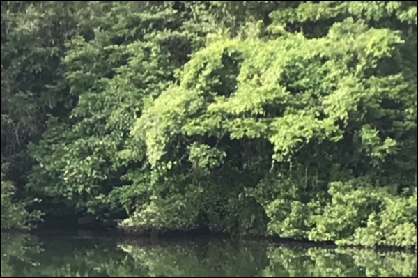 hideup 松本泰明 ブログ写真 2018/06/14