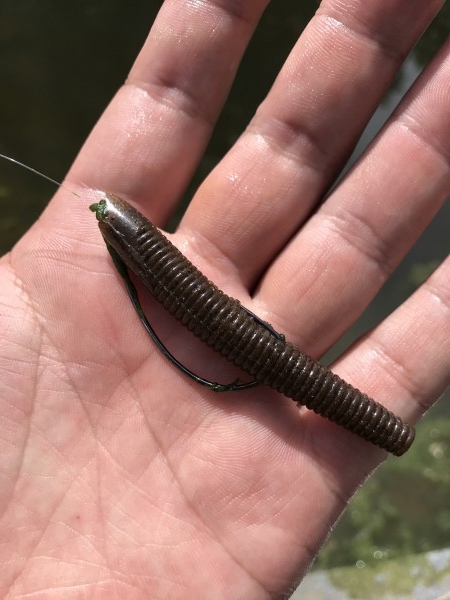 hideup 松本泰明 ブログ写真 2018/06/28