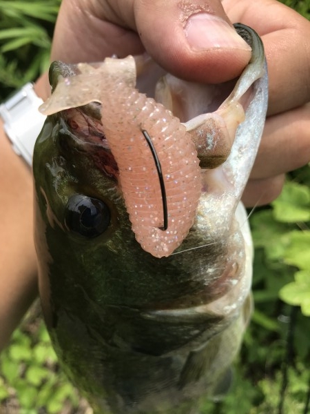 hideup 松本泰明 ブログ写真 2018/06/28