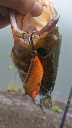 hideup 松本泰明 ブログ写真 2018/07/02