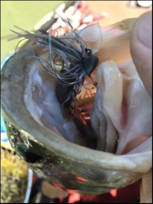 hideup 松本泰明 ブログ写真 2018/07/12