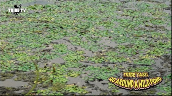 hideup 松本泰明 ブログ写真 2018/07/17