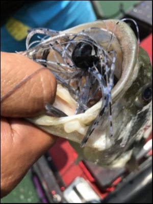 hideup 松本泰明 ブログ写真 2018/07/20