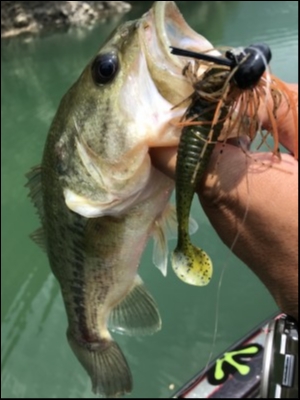 hideup 松本泰明 ブログ写真 2018/07/20