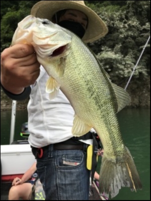 hideup &aelig;&frac34;&aelig;&not;&aelig;&sup3;&deg;&aelig; &atilde;&atilde;&shy;&atilde;&deg;&aring;&ccedil; 2018/07/23