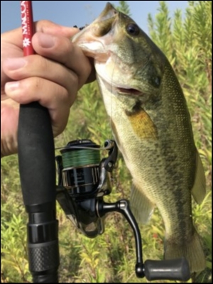 hideup 松本泰明 ブログ写真 2018/08/09