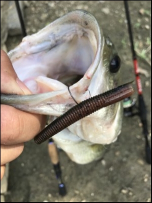 hideup 松本泰明 ブログ写真 2018/08/19