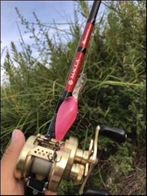 hideup 松本泰明 ブログ写真 2018/08/19