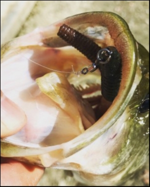 hideup 松本泰明 ブログ写真 2018/08/19