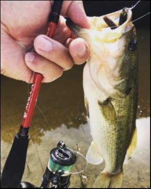 hideup 松本泰明 ブログ写真 2018/08/19