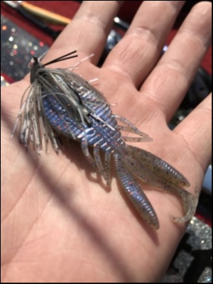 hideup 松本泰明 ブログ写真 2018/09/03