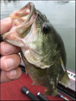 hideup 松本泰明 ブログ写真 2018/09/03