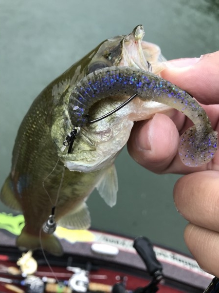 hideup 松本泰明 ブログ写真 2018/09/11