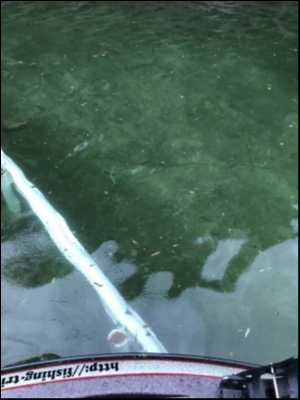 hideup 松本泰明 ブログ写真 2018/09/17