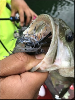 hideup 松本泰明 ブログ写真 2018/09/17