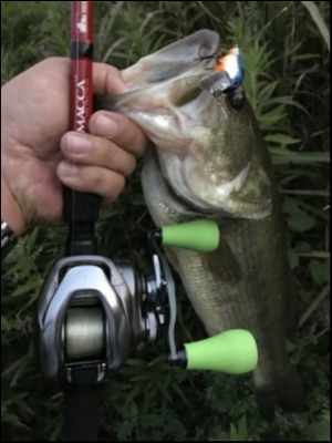 hideup 松本泰明 ブログ写真 2018/09/26