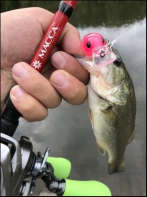 hideup 松本泰明 ブログ写真 2018/09/26