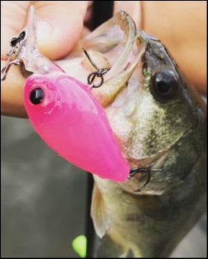 hideup 松本泰明 ブログ写真 2018/09/26