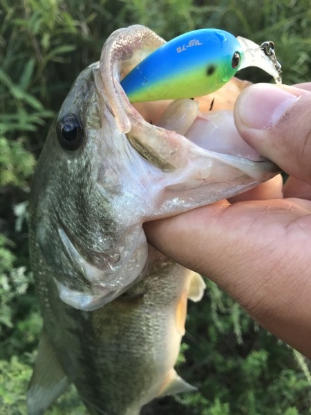 hideup 松本泰明 ブログ写真 2018/10/02