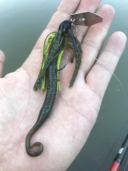 hideup 松本泰明 ブログ写真 2018/10/02