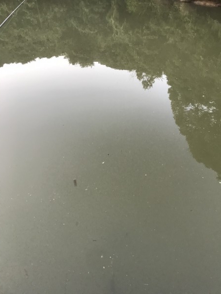 hideup 松本泰明 ブログ写真 2018/10/02