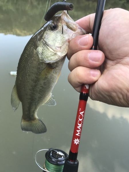 hideup 松本泰明 ブログ写真 2018/10/02