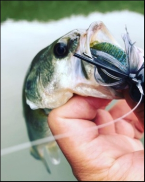 hideup 松本泰明 ブログ写真 2018/10/04