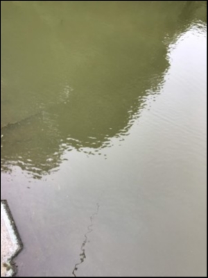 hideup 松本泰明 ブログ写真 2018/10/04