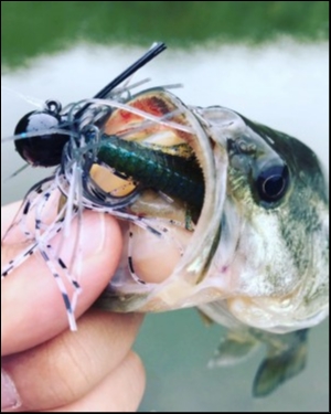 hideup 松本泰明 ブログ写真 2018/10/04