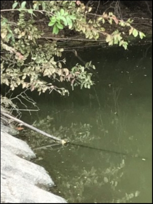 hideup 松本泰明 ブログ写真 2018/10/04