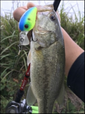 hideup 松本泰明 ブログ写真 2018/10/04