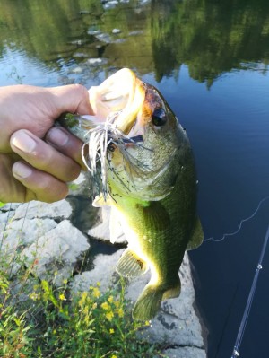 hideup 松本泰明 ブログ写真 2018/10/06