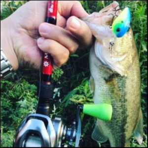 hideup 松本泰明 ブログ写真 2018/10/08