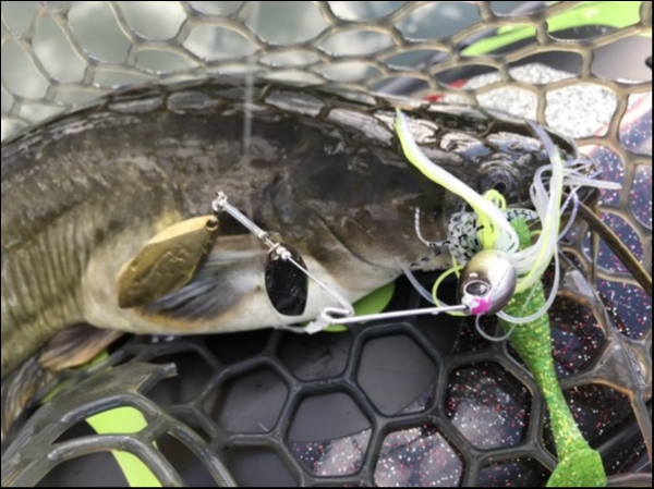 hideup 松本泰明 ブログ写真 2018/10/08