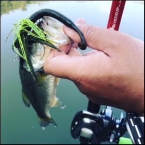 hideup 松本泰明 ブログ写真 2018/10/08