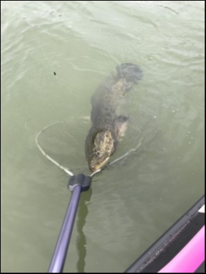 hideup 松本泰明 ブログ写真 2018/10/08