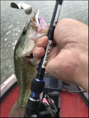 hideup 松本泰明 ブログ写真 2018/10/08